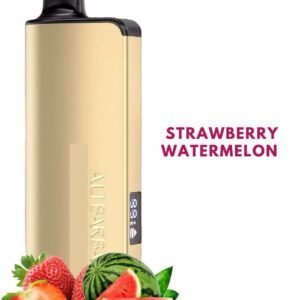 ALIBARBAR INGOT – STRAWBERRY WATERMELON – 9000 PUFFS